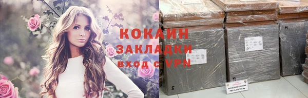 твердый Дмитров