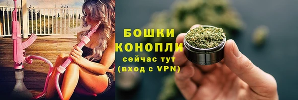 PSILOCYBIN Дмитровск