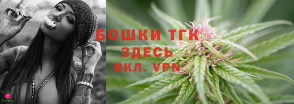 прущая мука Дмитриев