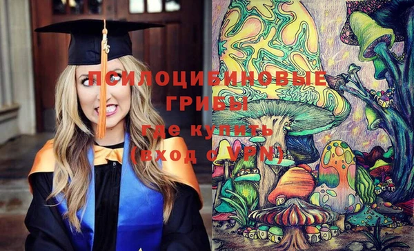PSILOCYBIN Дмитровск