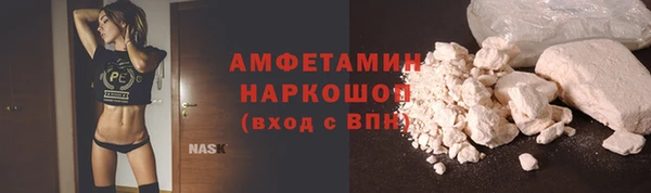 твердый Дмитров