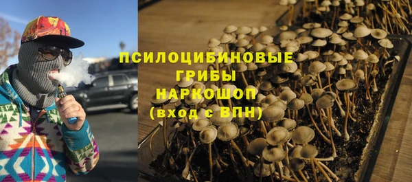 твердый Дмитров