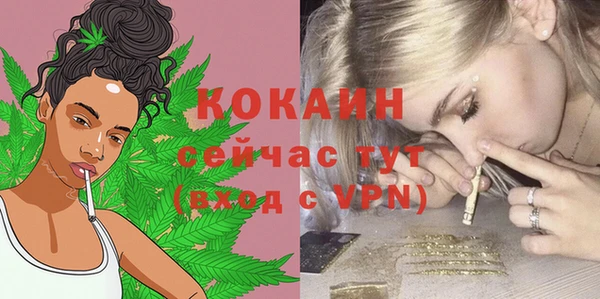 прущая мука Дмитриев