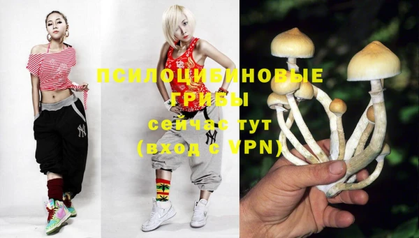 прущая мука Дмитриев