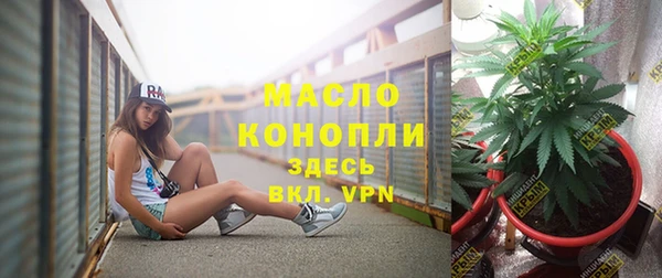 прущая мука Дмитриев