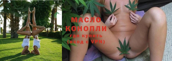 прущая мука Дмитриев